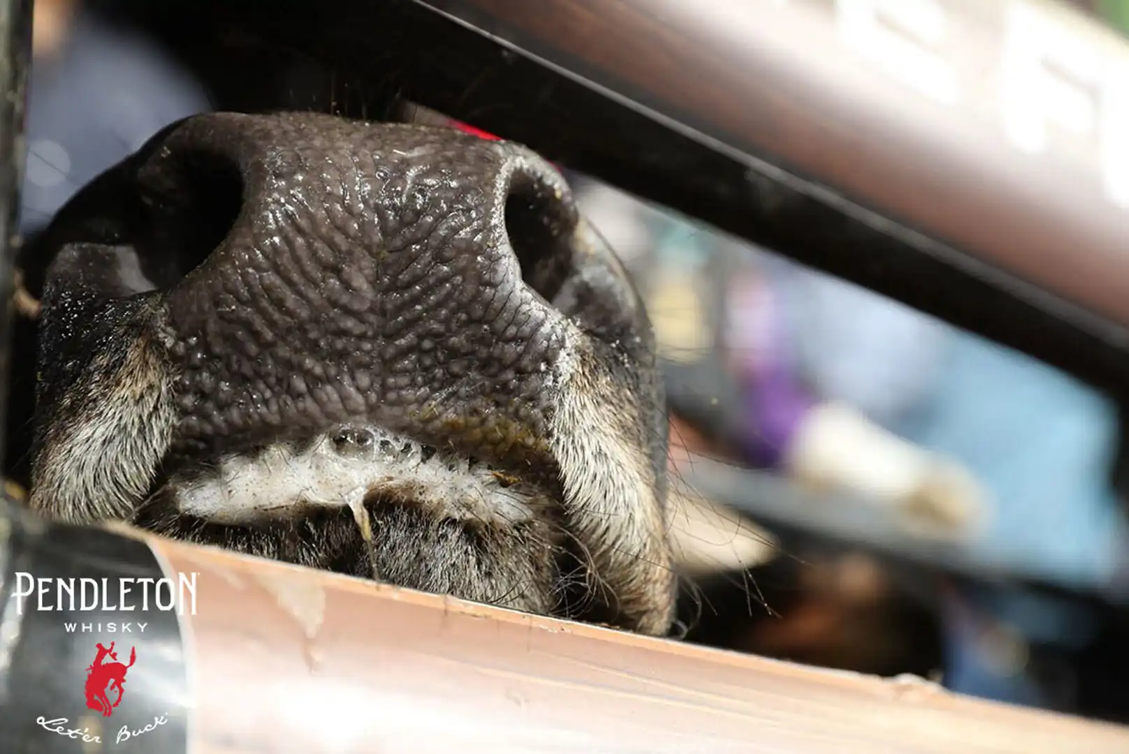 8a57beb2-afb9-4217-90f6-a4b44b554e12