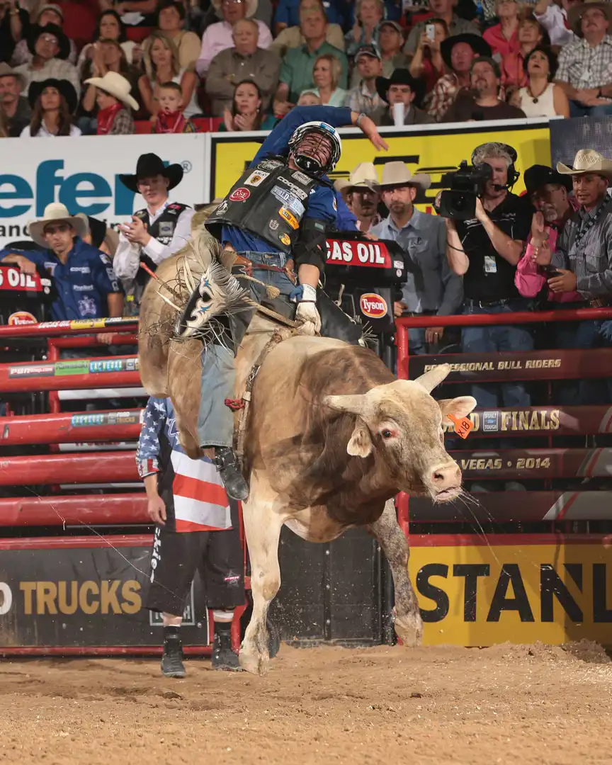 9bb301c0-e80f-4d46-a3b4-14d7a81399a4