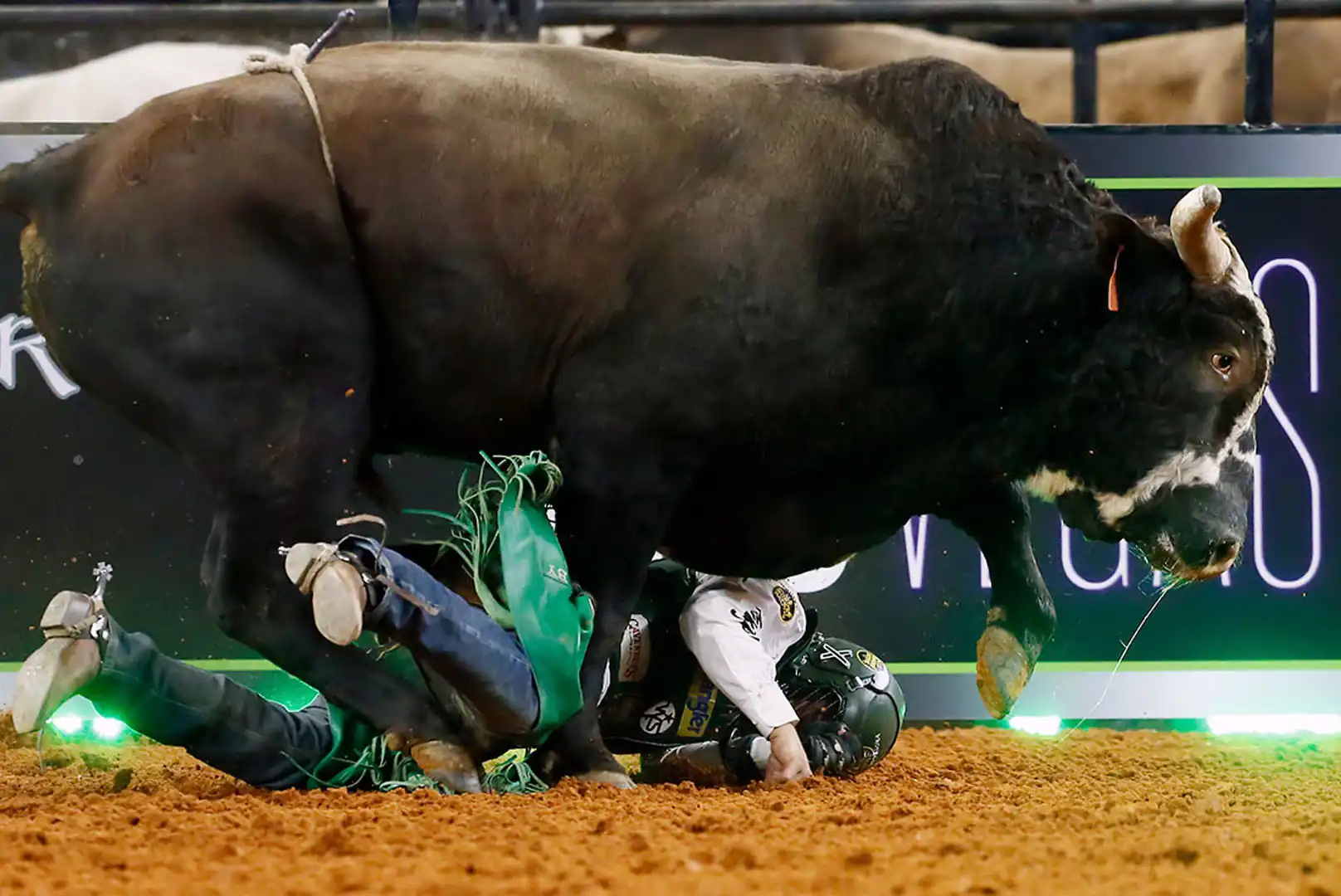 1d1b3285-d5b1-4a87-a9aa-c1bdd615e117