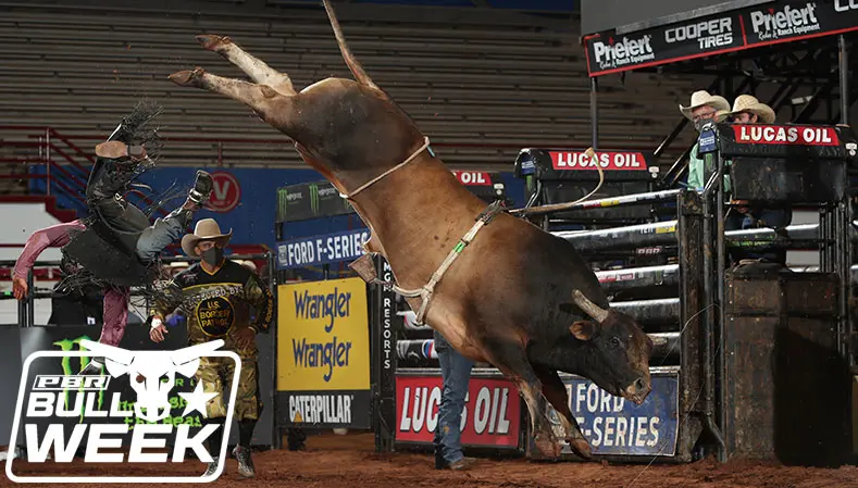 Top 12 bull scores of the first half of 2020