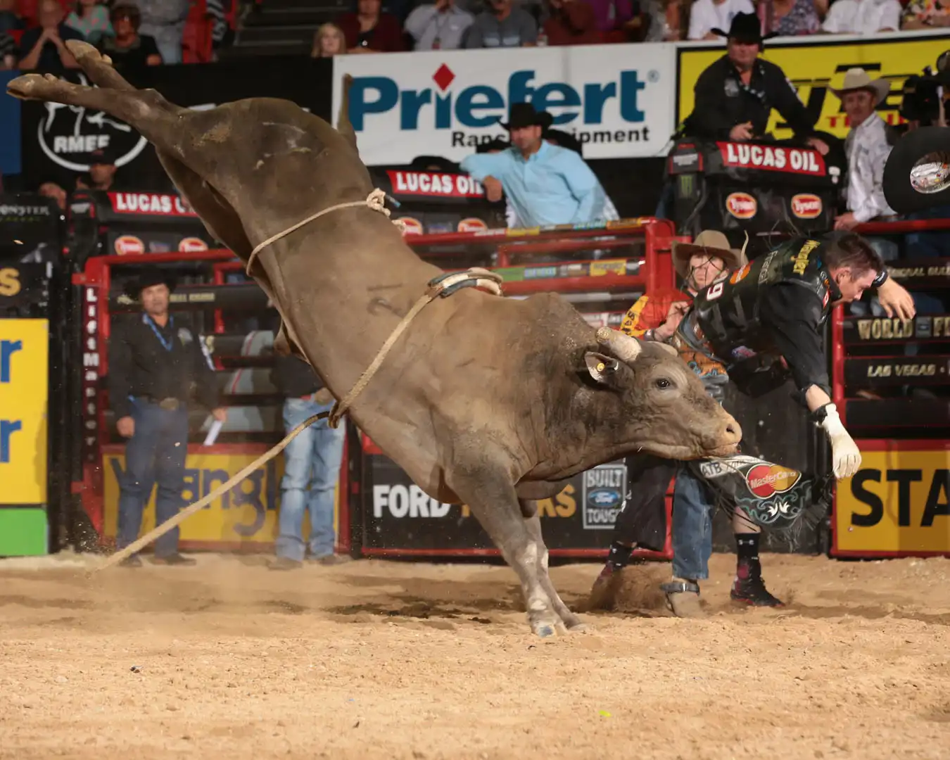 09311315-e544-4ede-ba6e-1419a48f905b