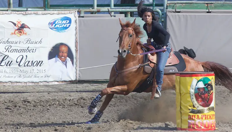 Lu Vason’s rodeo dream celebrates the place of the Black cowboy in American history