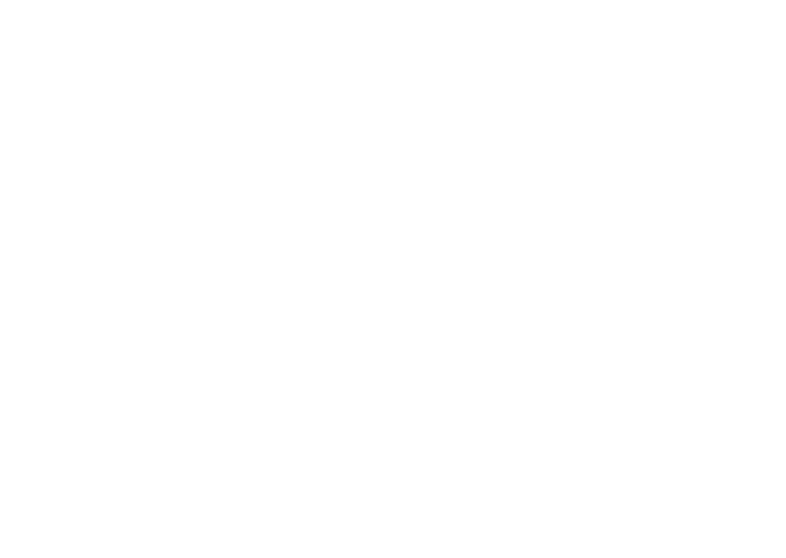 Rattler's Ariat