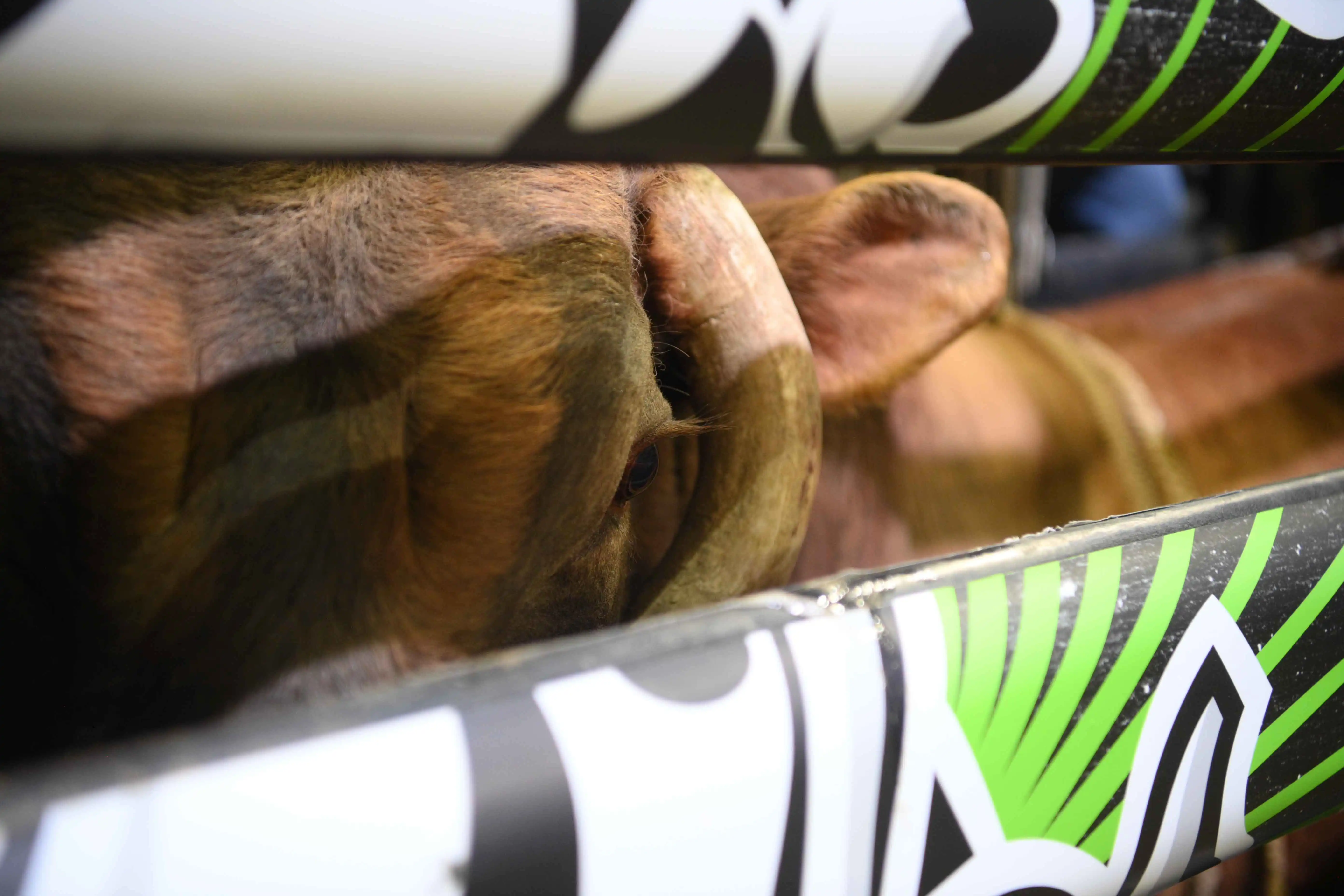 25 LIVE Billings 01 140