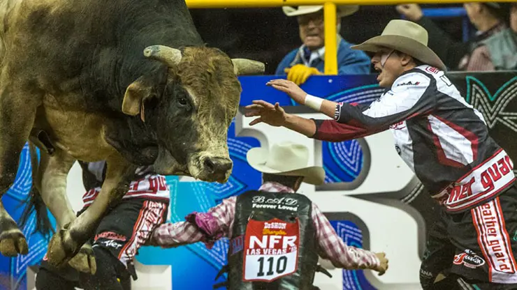 8 questions with Cody Webster