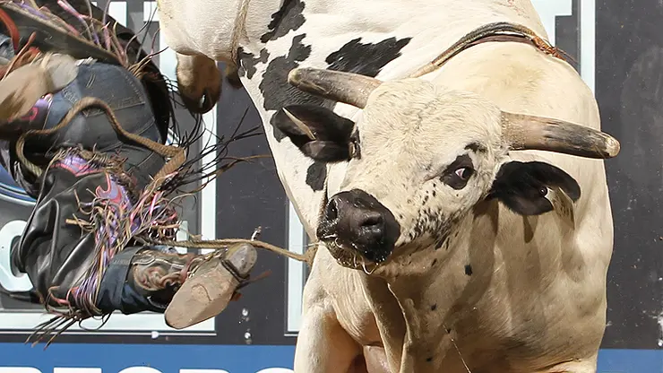 Attack of the clones