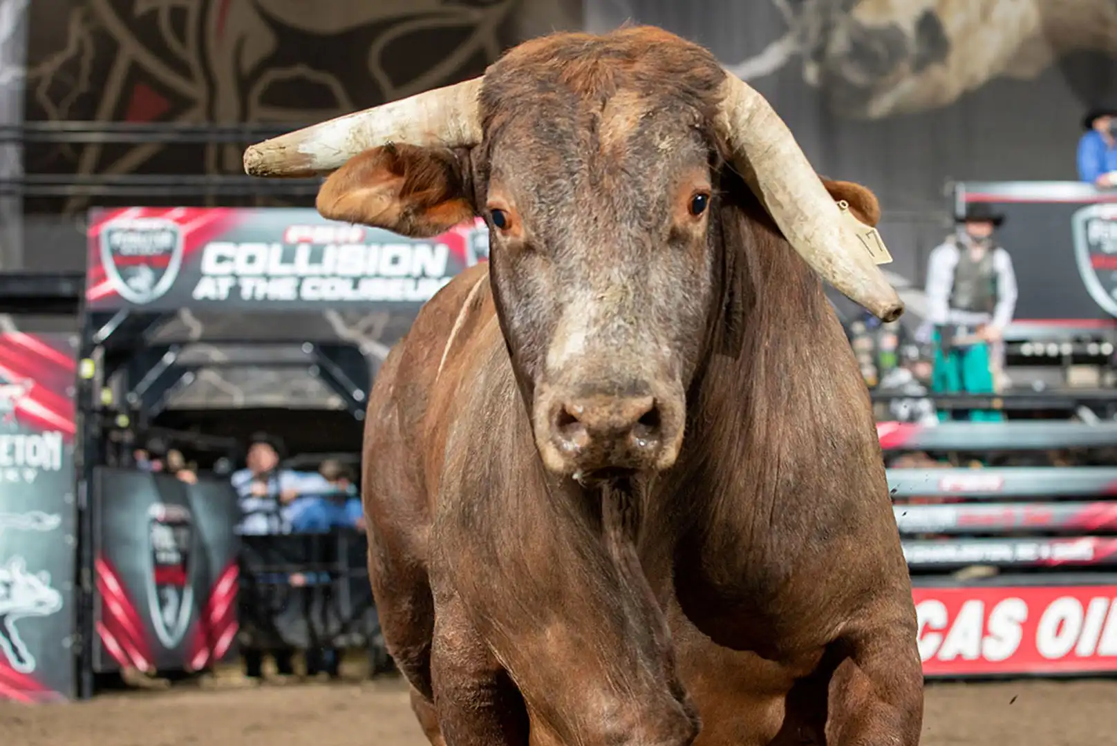 386af4e6-d220-4ded-8c1f-6a1747a27f2c