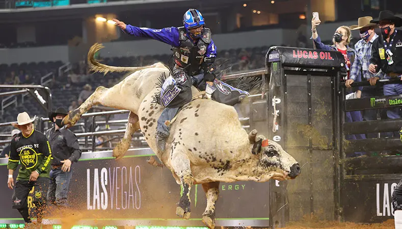 Smooth Operator becomes oldest back-to-back YETI World Champion Bull in PBR history; Berger wins 10th Stock Contractor of the Year title