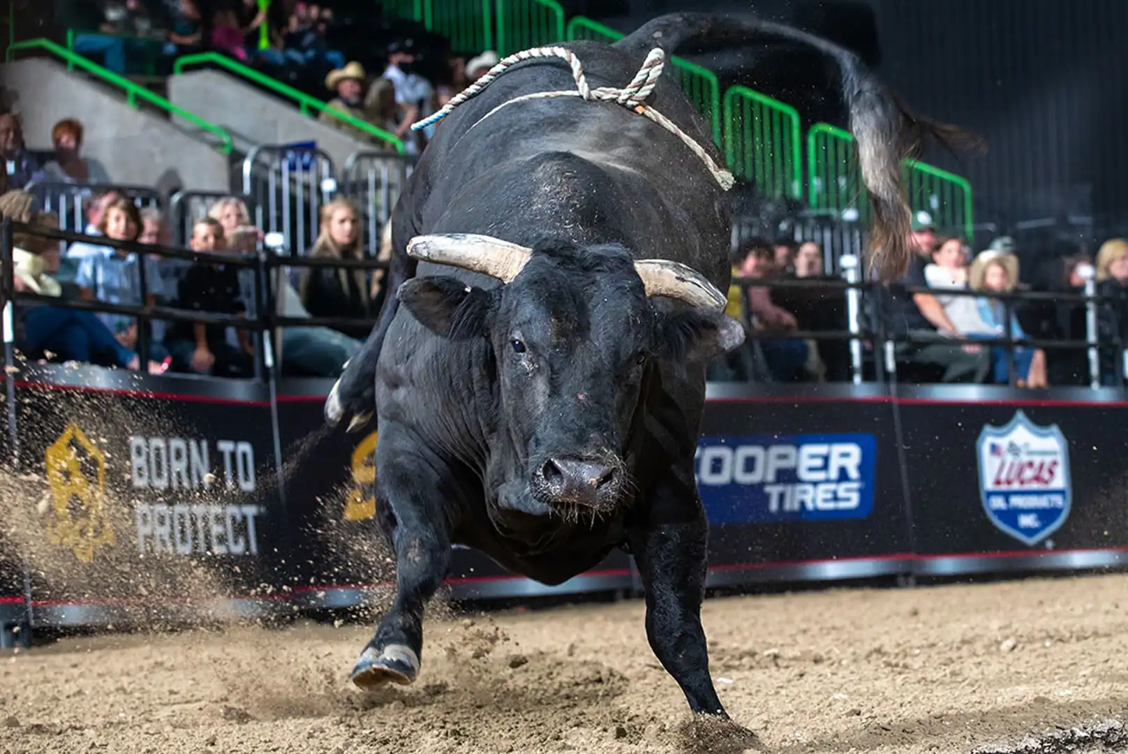 170d545f-f939-4545-8d5f-1d432254095a