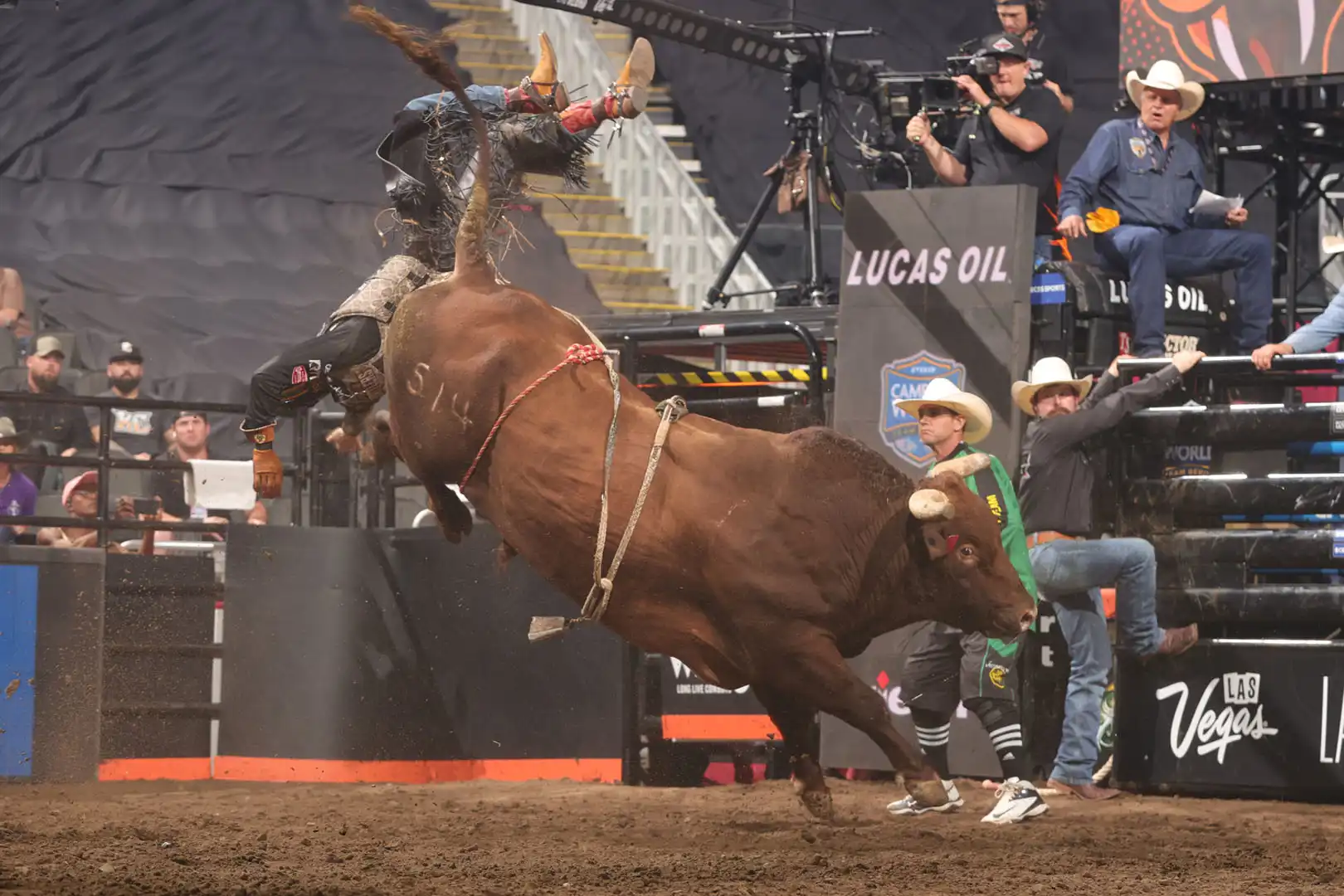 f8201798-fc46-44e8-8e7d-b313a079e729