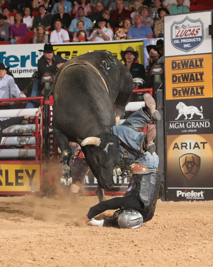 19bcb31f-814a-478c-b8e4-172f3890de38