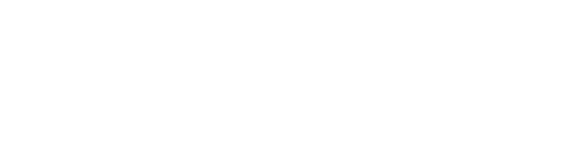 Germania Insurance