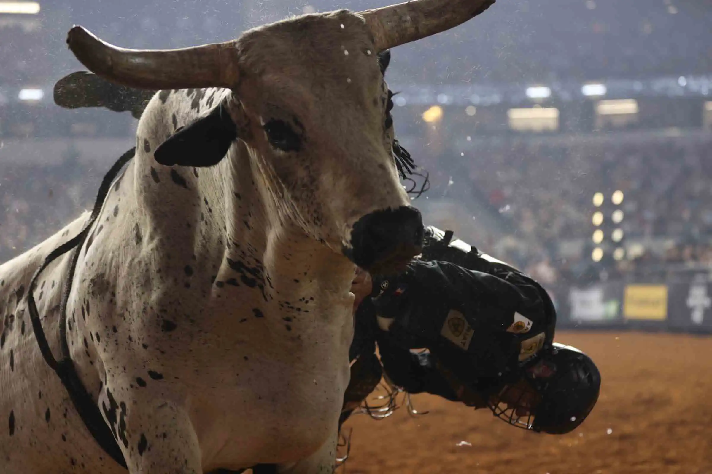 25 LIVE World Finals 01 1036