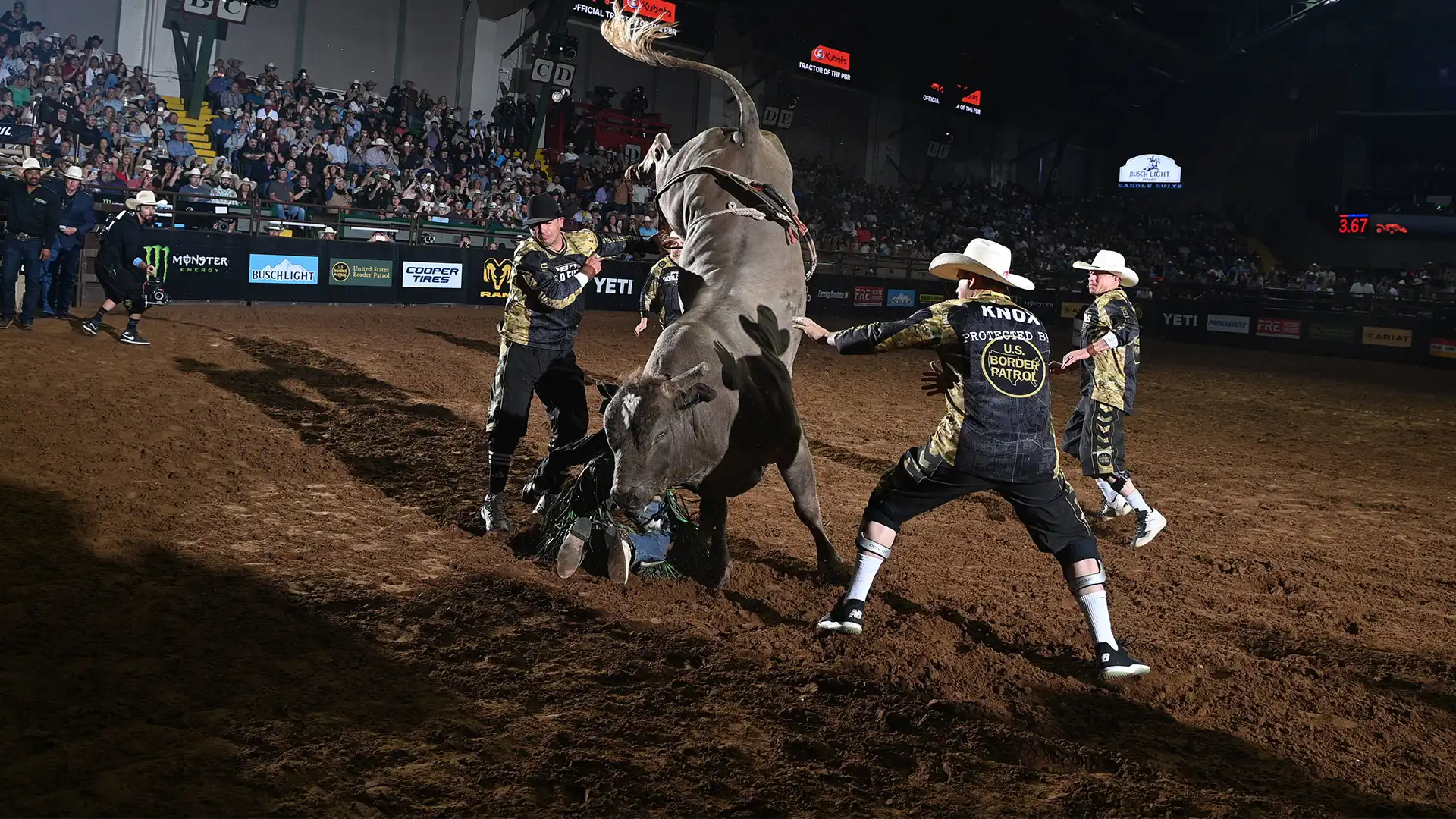 Pegasus earns his wings: Remembering the one-horned wonder who fought until the end