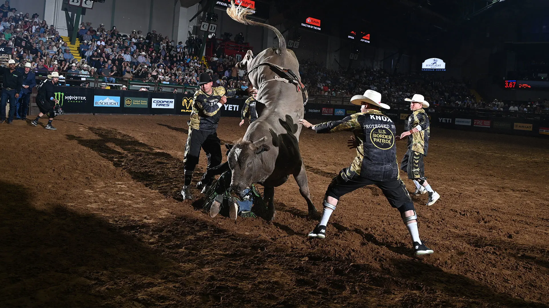 Pegasus earns his wings: Remembering the one-horned wonder who fought until the end