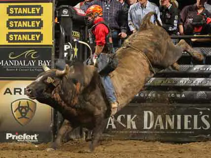 Two-time PBR World Champion leads in Iowa