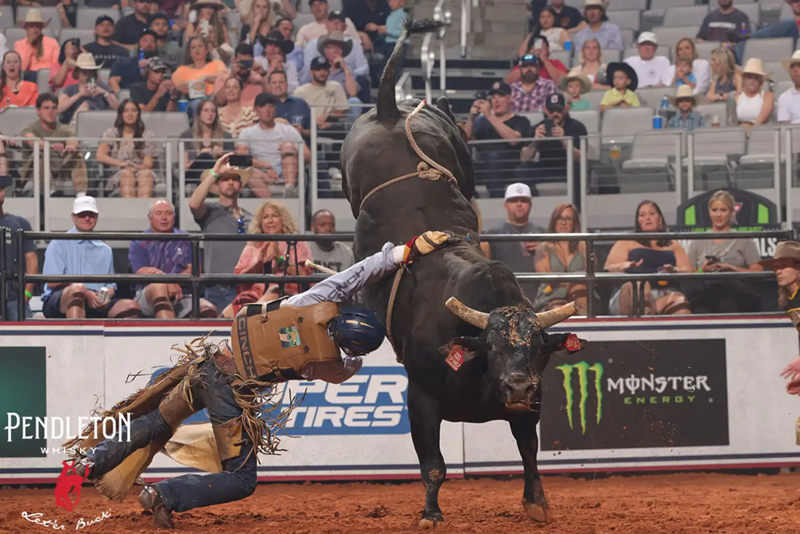 b8f8cf18-5a35-4a8e-8db6-91f946f91c47