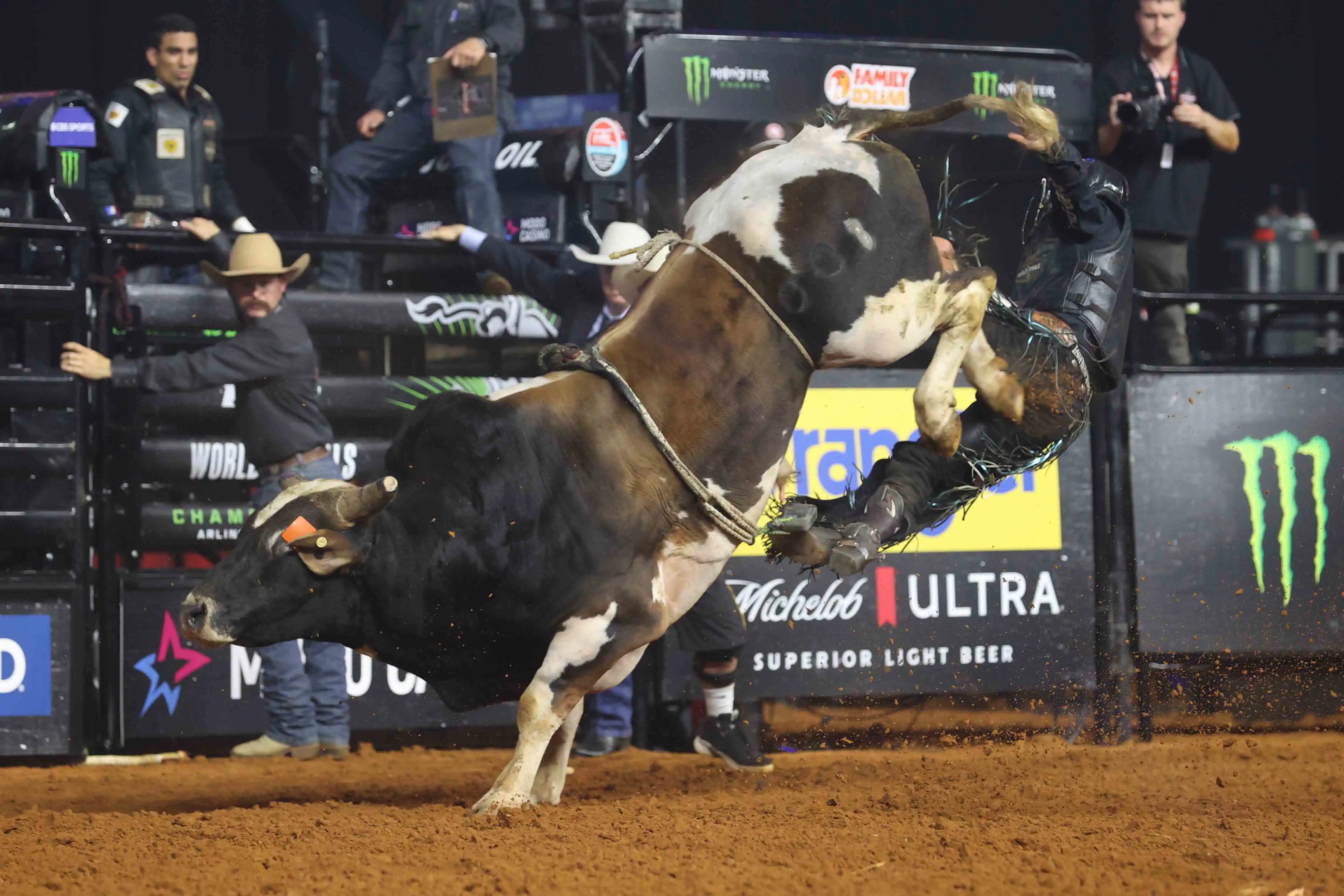 25 LIVE WF 01 JW 779