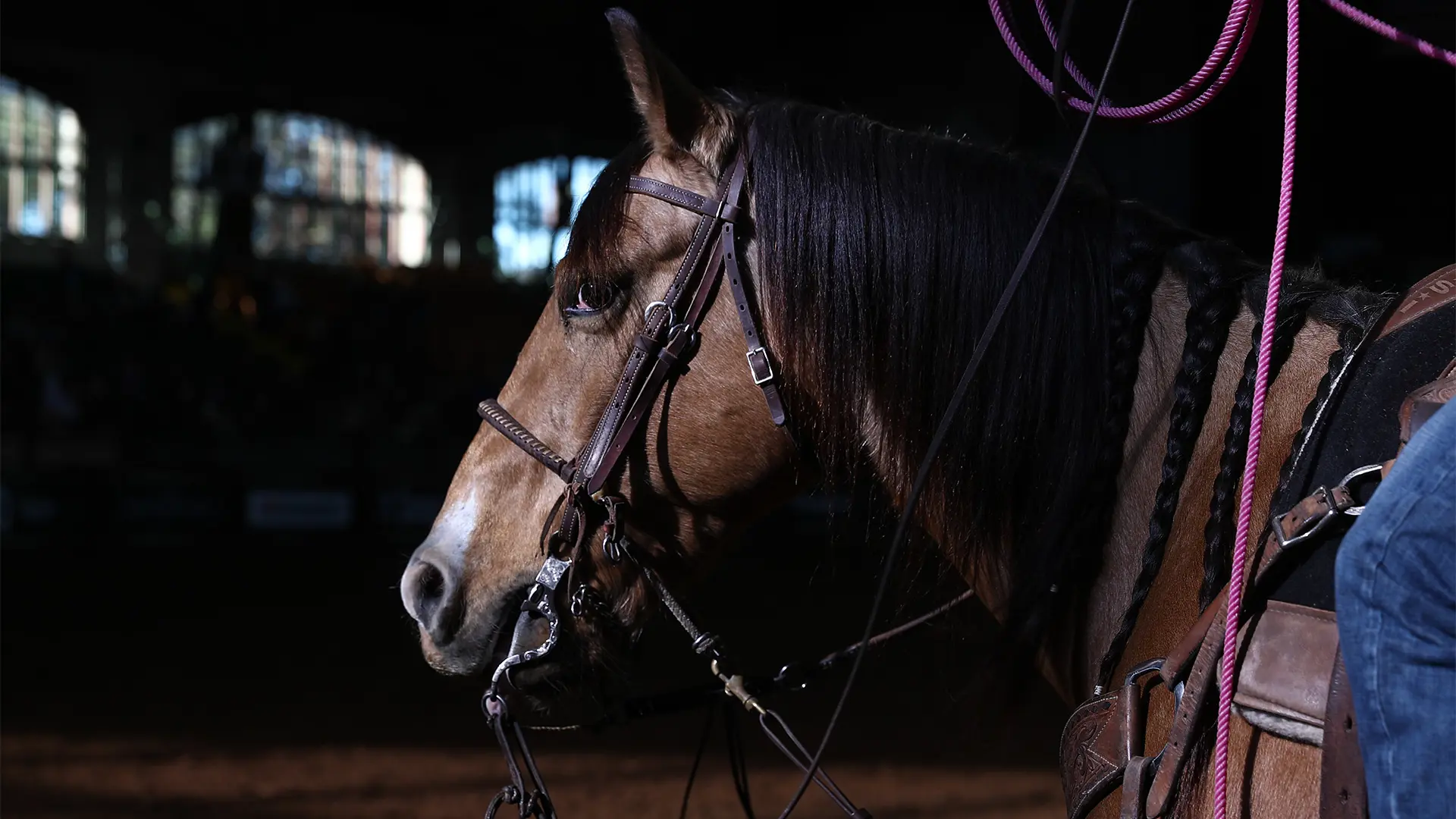 NextGen Rodeo named exclusive broadcast partner for 2025 International Finals Youth Rodeo