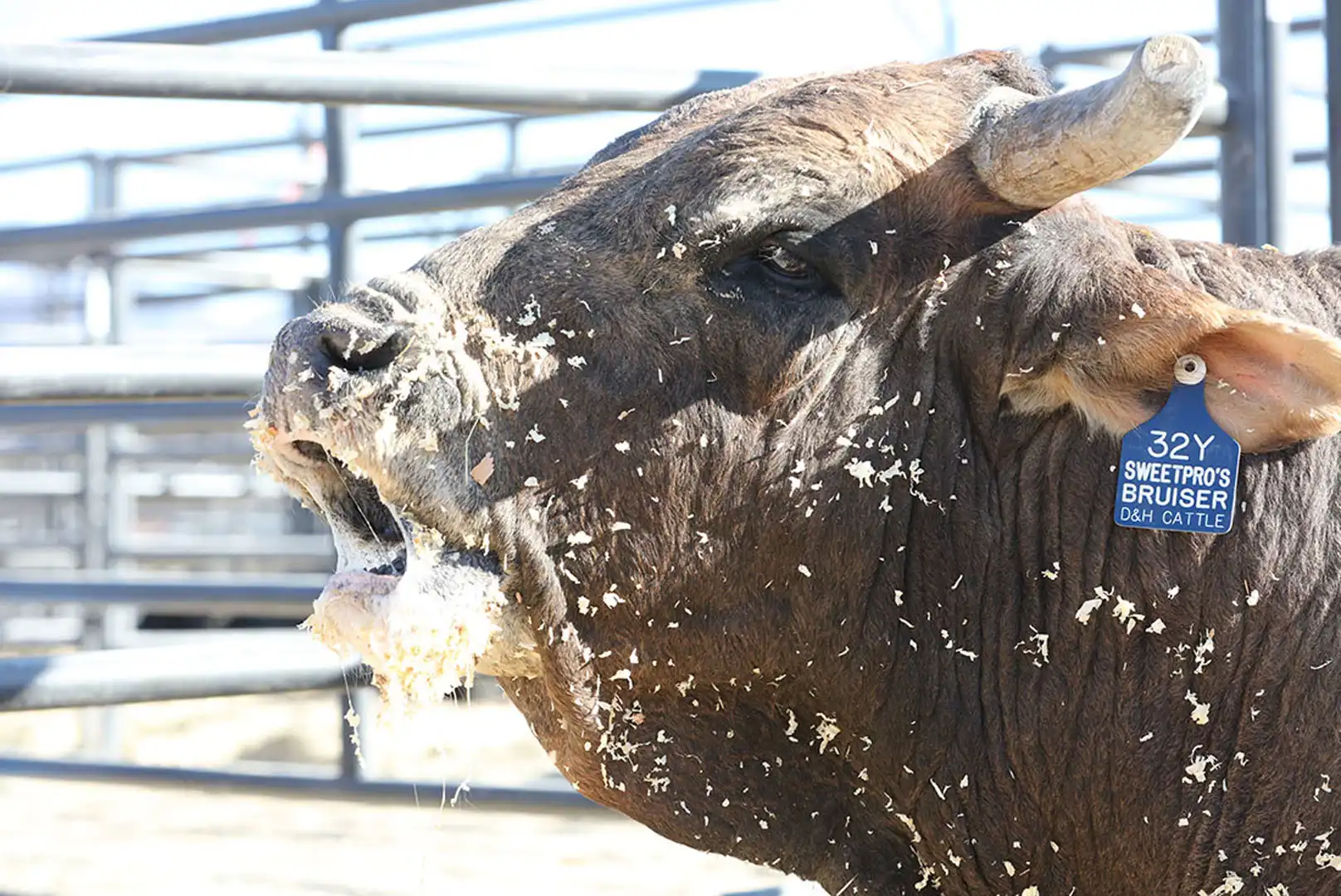 889a3f49-44b8-4358-b407-2d11de655e5c