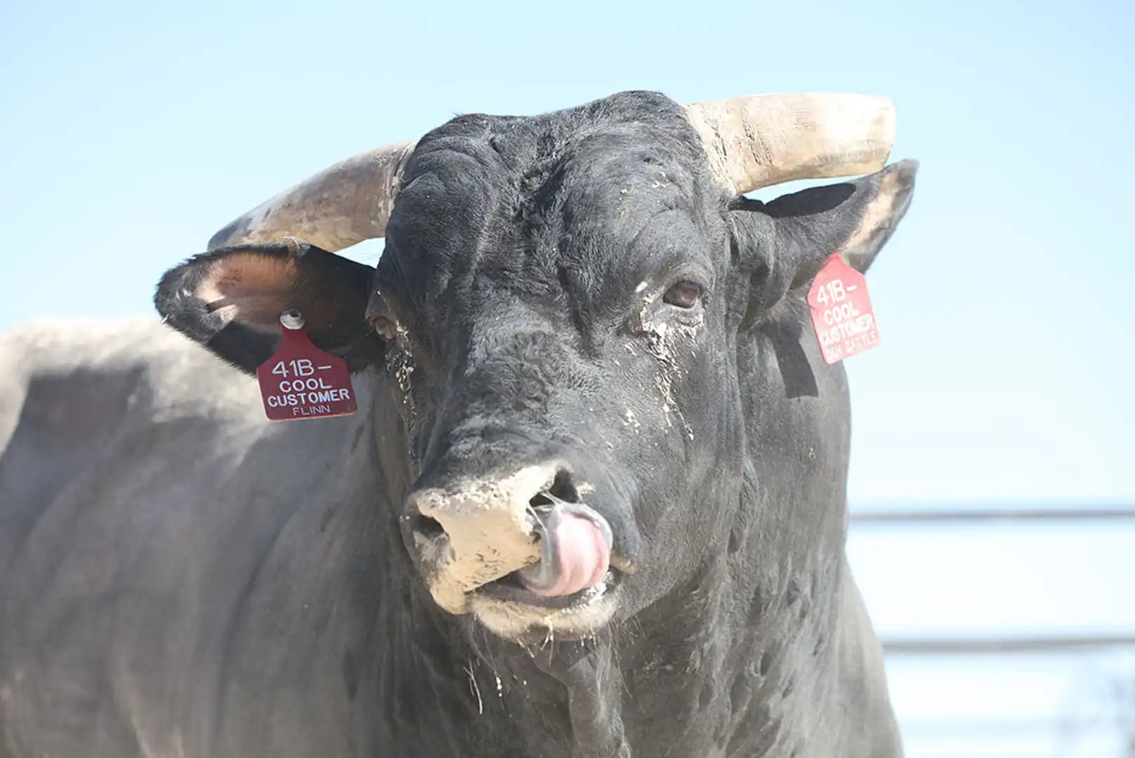 e2d08fc4-eca0-40bb-ab40-bd857e74b0be