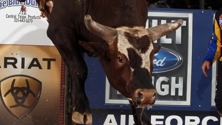 Bushwacker builds legendary career
