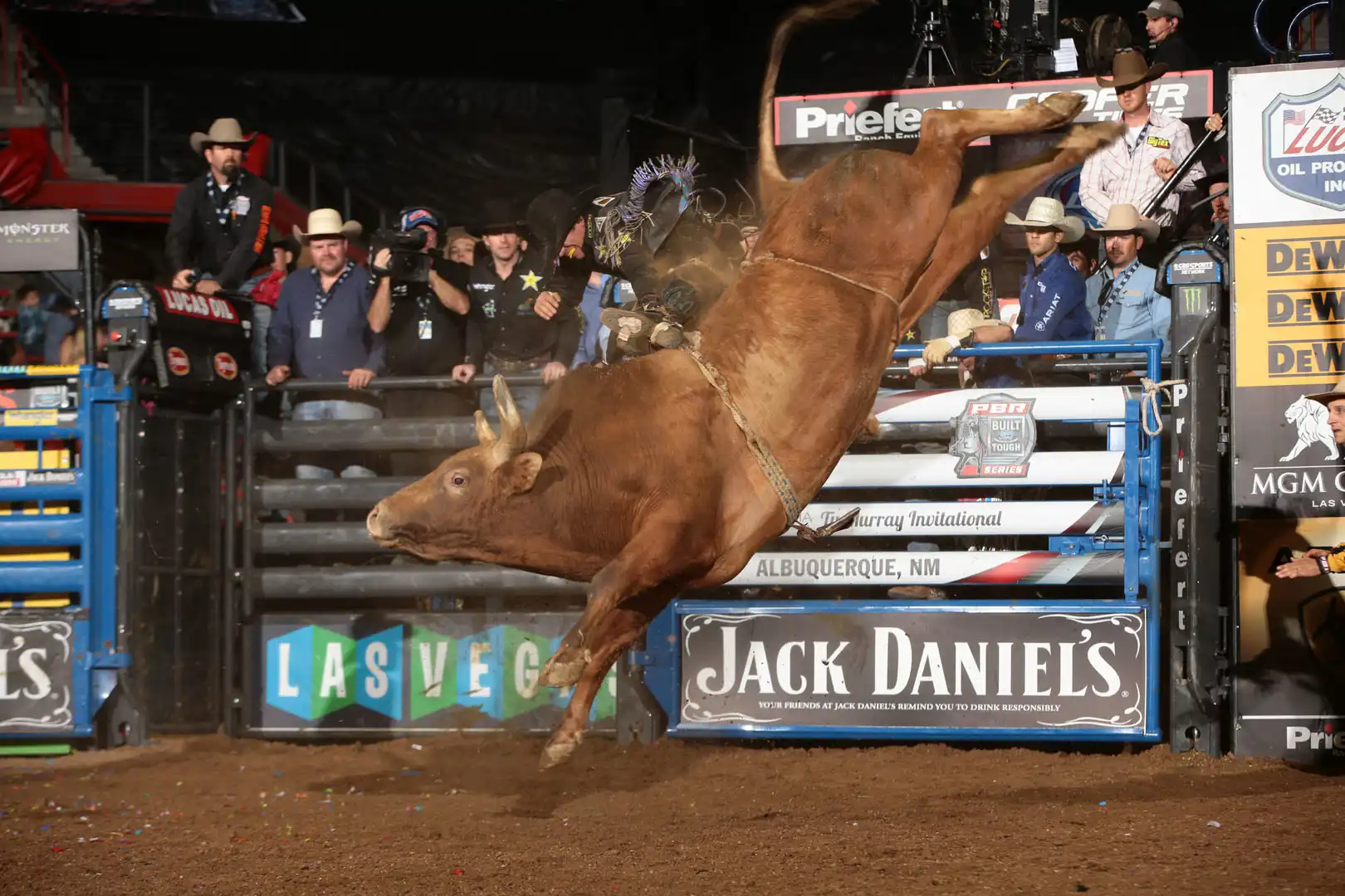 ac8e0ca6-05bf-4ebd-91ef-787c38748548