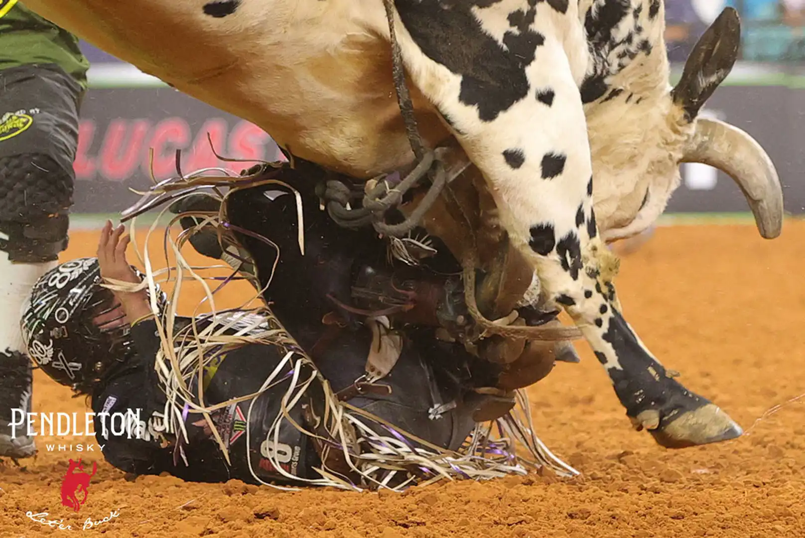 9dbc6ccb-467a-41b3-ba3f-40fac84b9f88