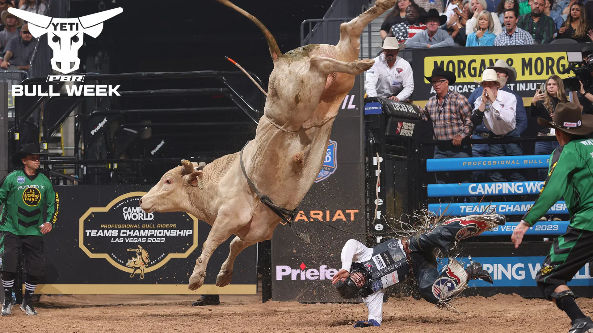 Top 8 bull scores from the 2023 PBR Camping World Team Series campaign  