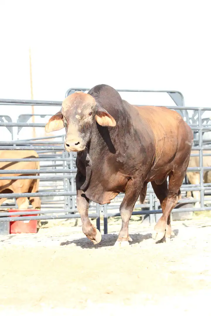 f4343a3c-d663-4ad3-b600-d6a0dda22427