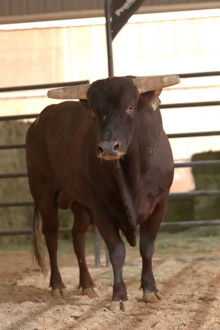 9199fbe8-d959-4449-aede-620a6e5e18ed