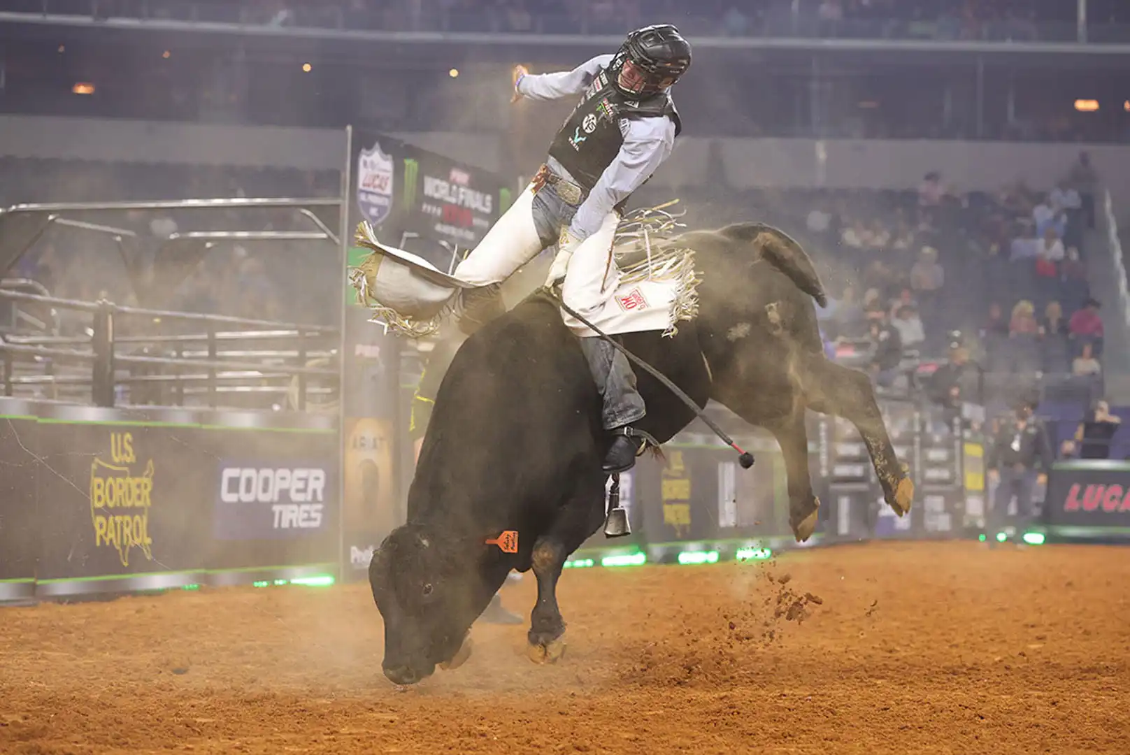 e035ae15-36af-4490-9f81-1fe43269f61d