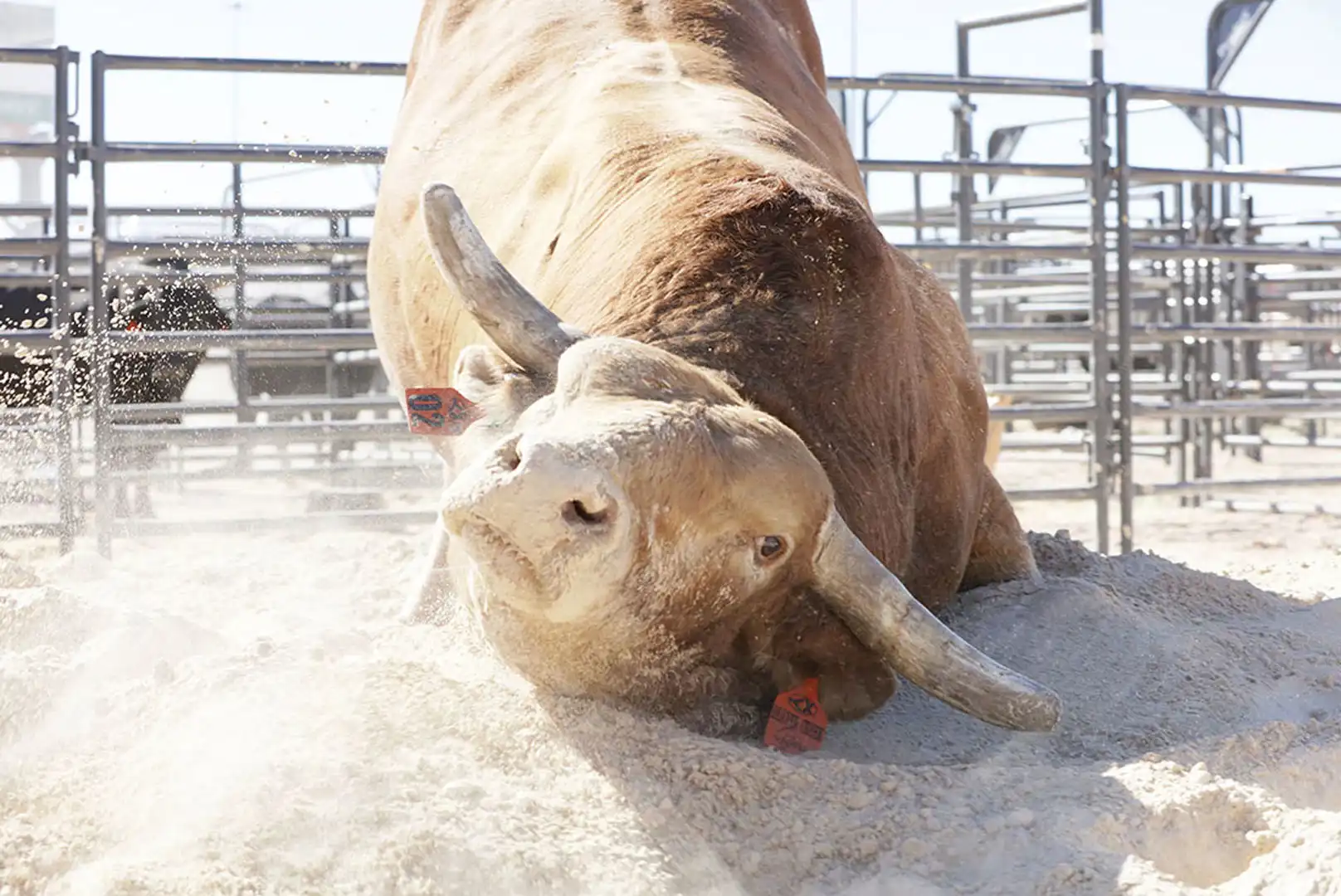 9bbfc60b-32ef-45dd-a992-35a9ce3507e0