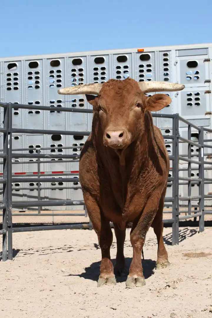 f821f4b5-d8de-4acb-b439-6242be3d2fed