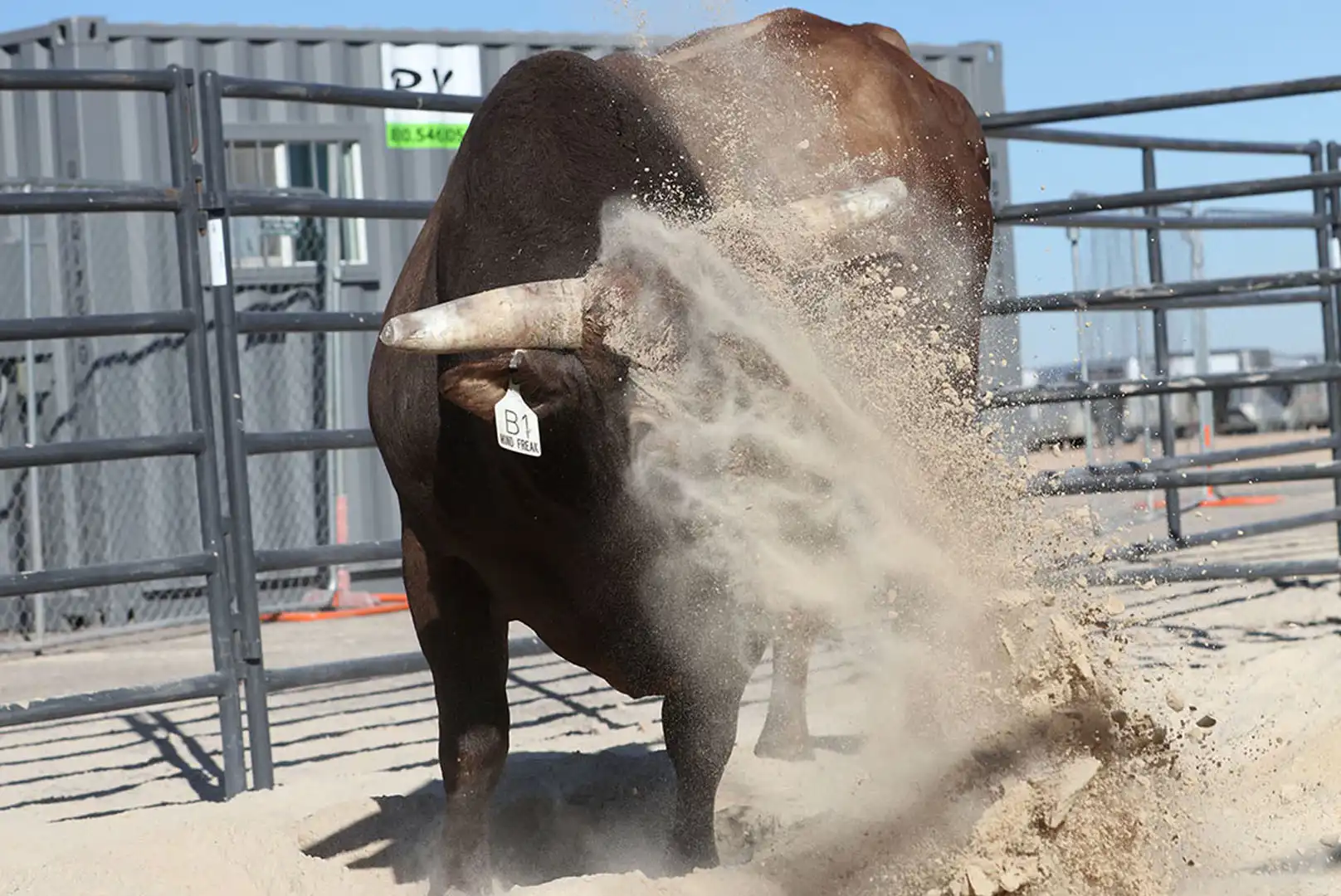 b9546731-0859-40f1-b29f-561be1e892cb