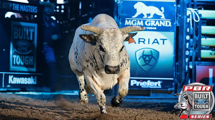 In the Bull Pen: San Jose