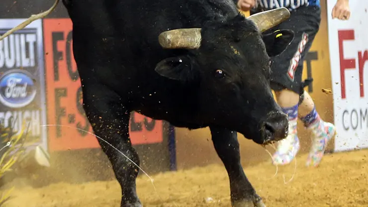 Looking back at Hey Jack’s career