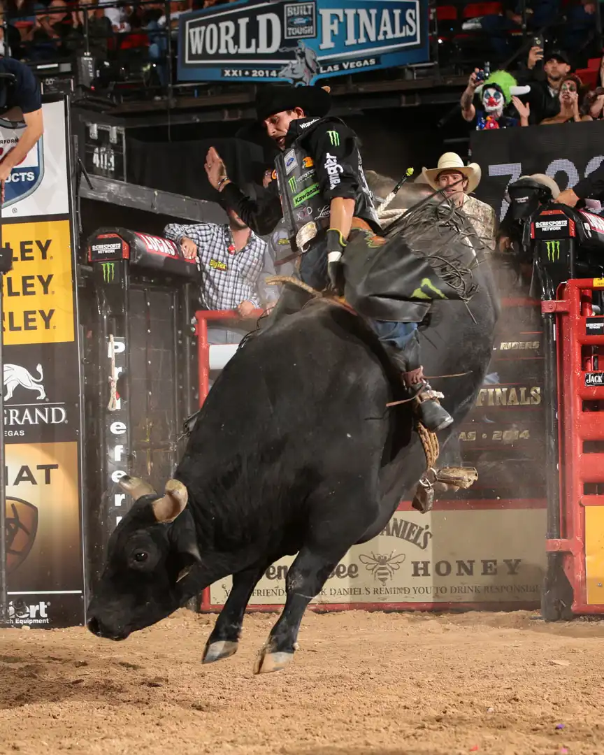 d47b1076-9835-442e-8909-7af5bba94991