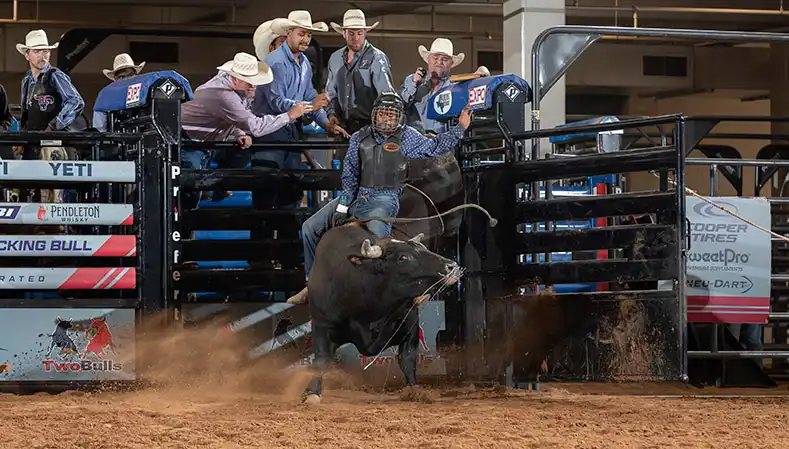 ABBI World Finals to feature Canadian flare with four Foley Bucking Bull bovine athletes