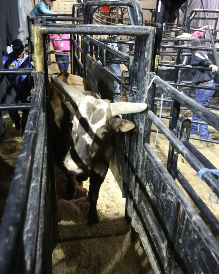 5c7fe056-5aaa-4048-bf98-12d924b882f8