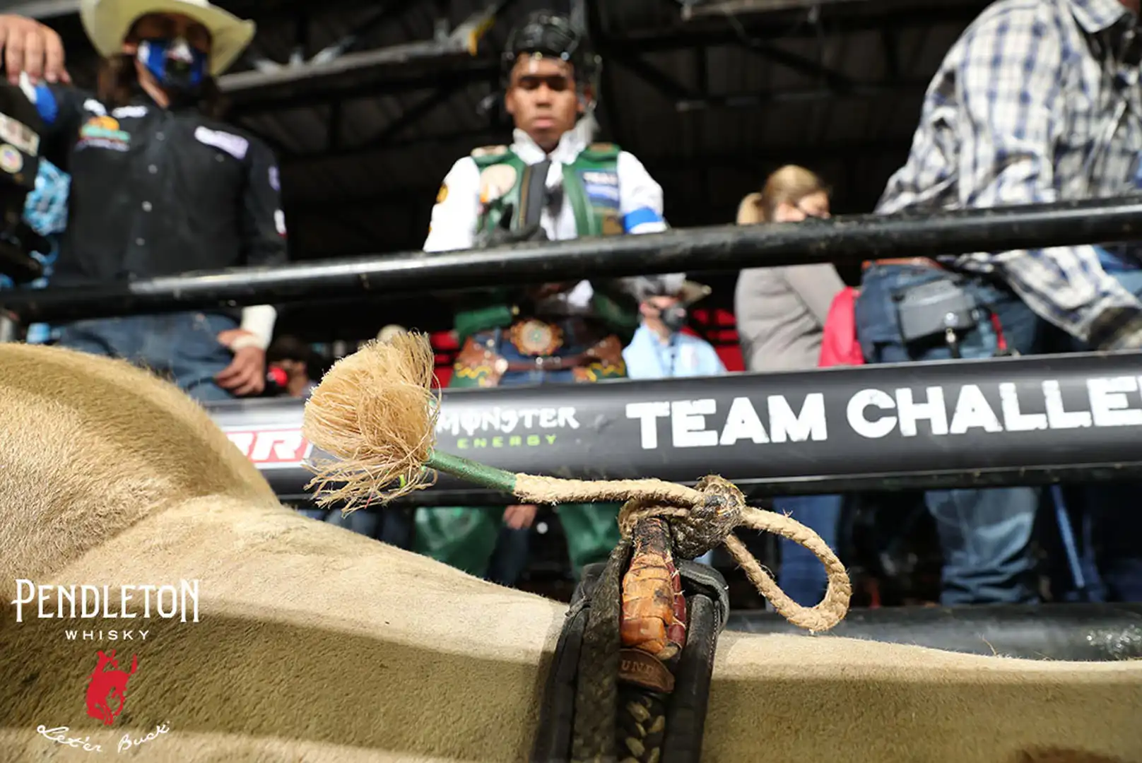 8321a421-dee2-4606-9425-2787669d4026