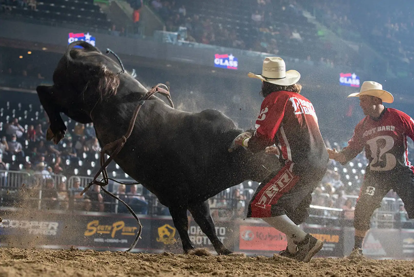 77f4ac49-6560-4e40-b031-e75e3cd8e05c