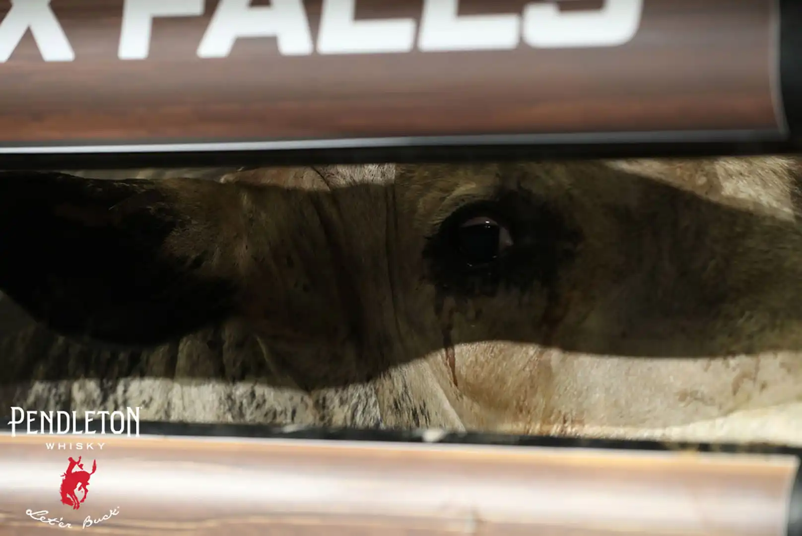 4ae837c0-8c99-4953-b57a-56d1eb276cb9