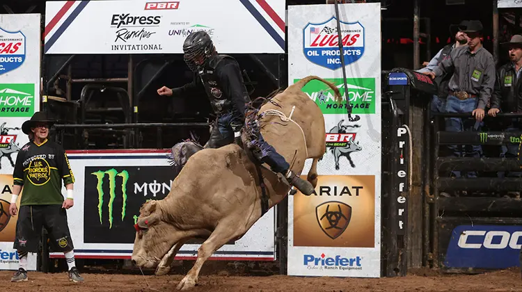 Mitchell early leader in Rookie of the Year race