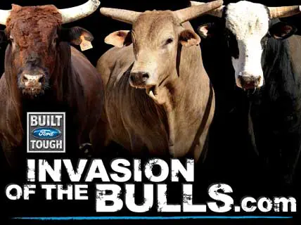 Fans Can Win PBR Special Edition Ford Truck