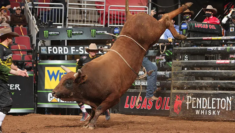 Chance encounter led to Paradigm Bull Company eventually acquiring Marquis Metal Works Red Clark