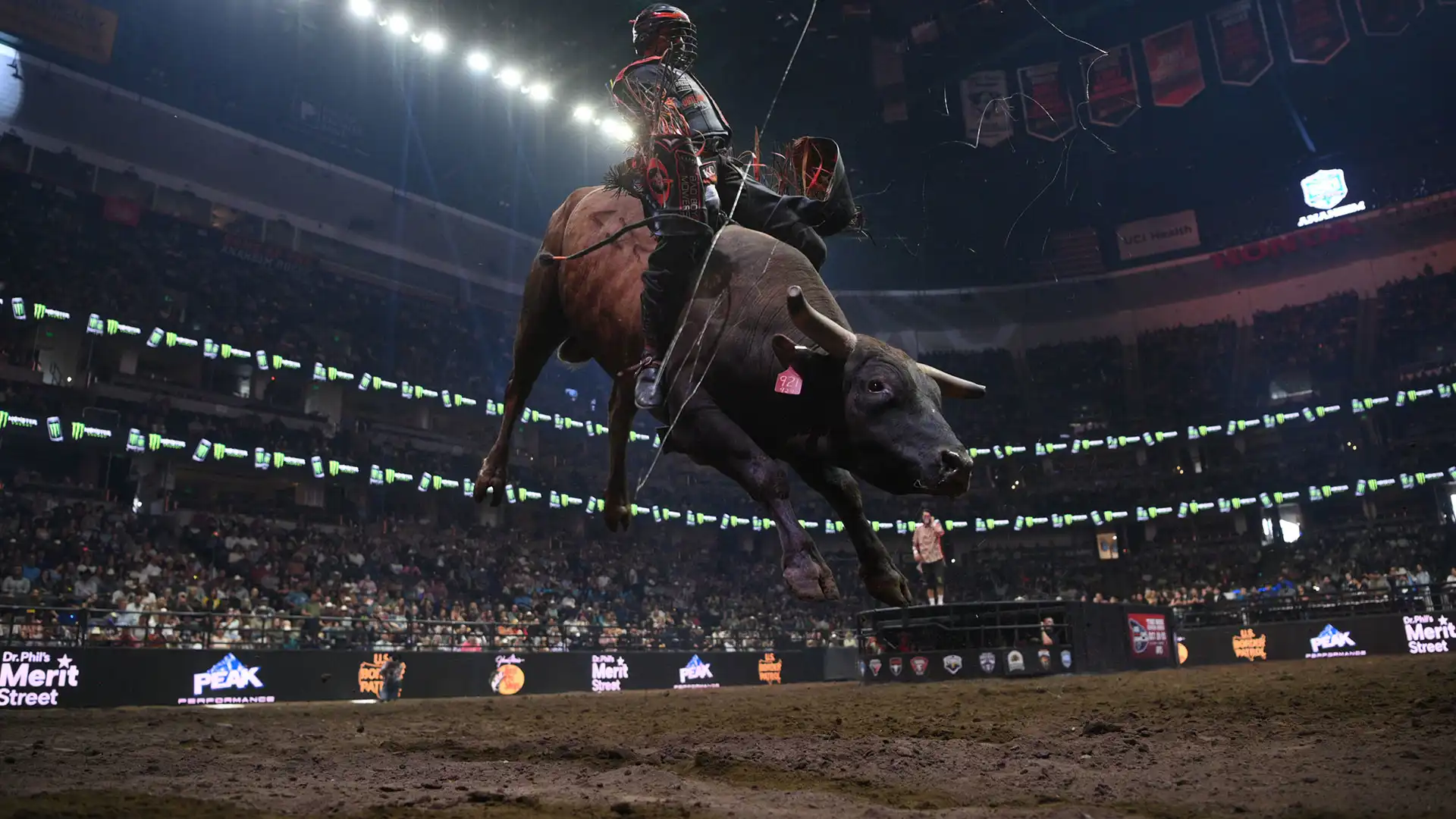 Where to Watch: PBR Teams in Anaheim