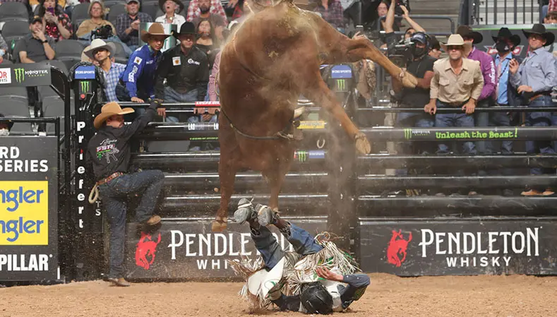Dennis The Menace takes the lead for YETI Bull of the Finals; Chiseled slightly closes the gap in World Champion Bull race