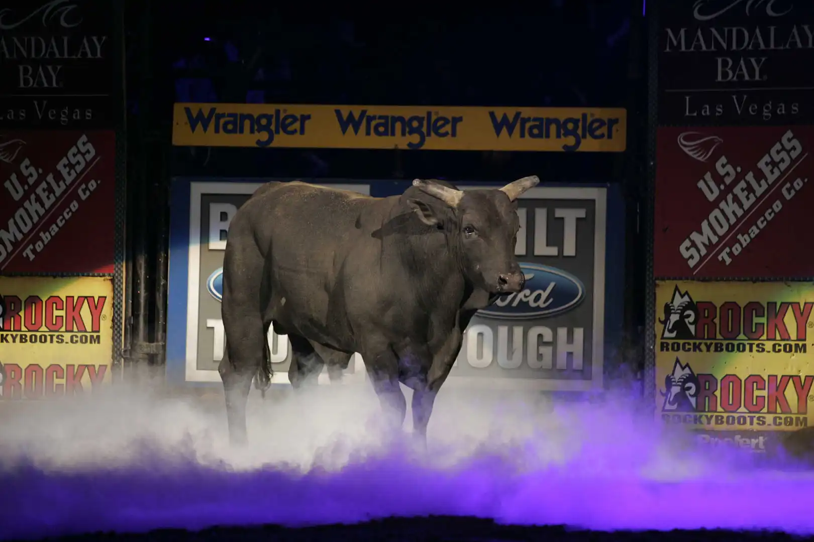 4246093c-5f83-4319-a555-cd484e8f294f