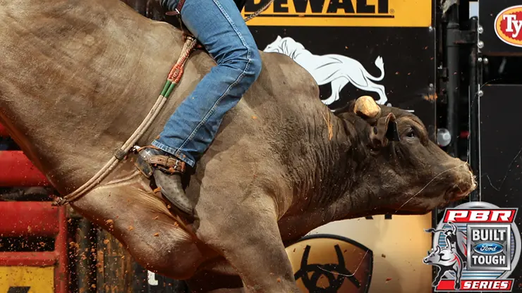 Long John helps case for World Champion Bull title in Tulsa